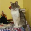 Отзыв от Инга Романова